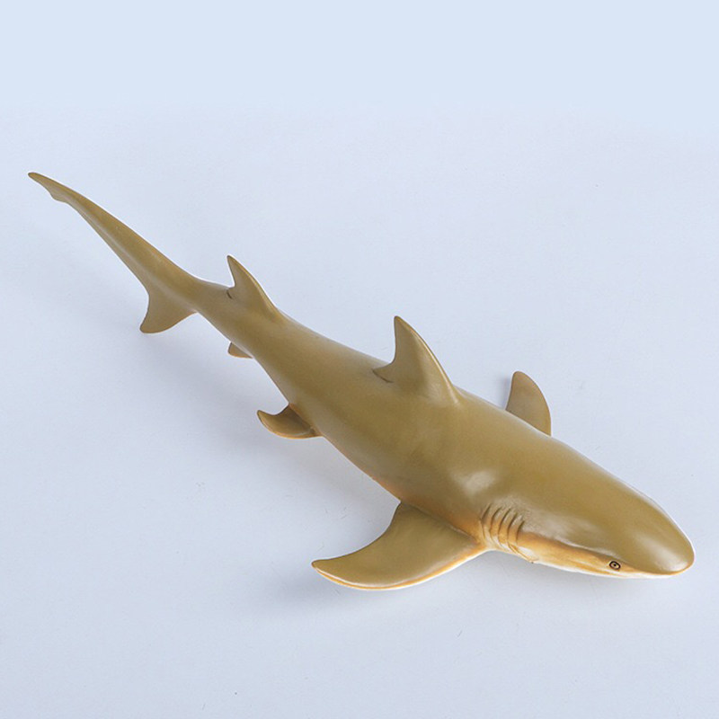 Игрушки-животные 鲨鱼玩具软胶大号大白鲨巨齿鲨仿真海洋动物生物模型海底世界鲨鱼 Hikohiro