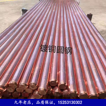 Copper plated round steel copper coated steel round wire diameter 8mm 10 10 16 16 18 20 copper-coated steel horizontal grounding wire lightning protection