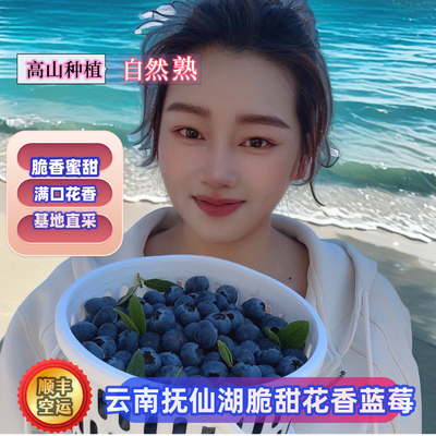 [L25脆甜玫瑰花香纯自然熟露天蓝莓云南抚仙湖直发新鲜采摘水果]
