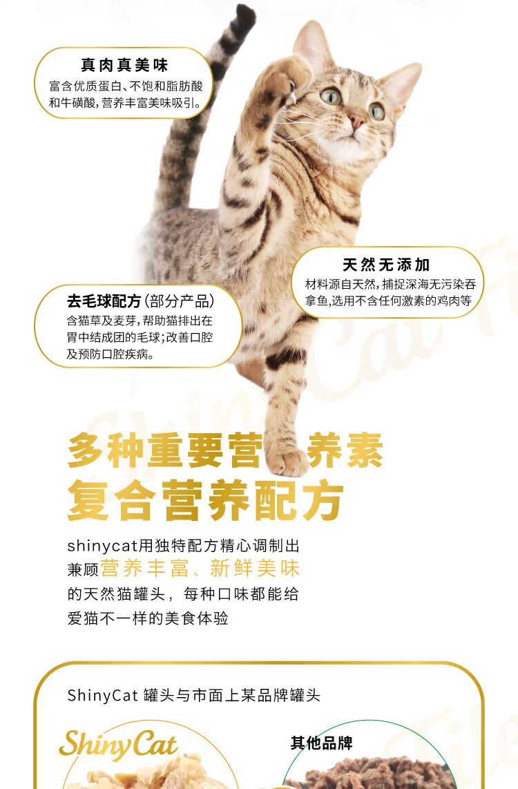 Cat Life / German Junbao Soup Luộc thành mèo Cat Cat Snacking Cat đóng hộp 70g * 24 lon thức ăn mèo minino