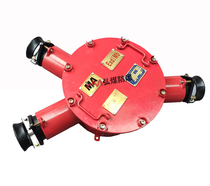 BHG1-400 10(6)-3 Mine flameproof high voltage cable junction box Mine explosion-proof junction box