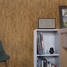 Паркет bi美纯进口葡萄牙corkart软木复合地板墙板e0级锁扣地热静音 OTHER