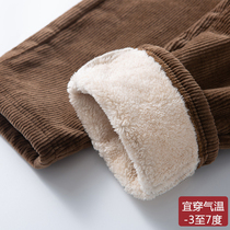 Gush light core suede pants female winter thickened straight drum cotton pants tightness high waist large size loose strips of loose casual long pants