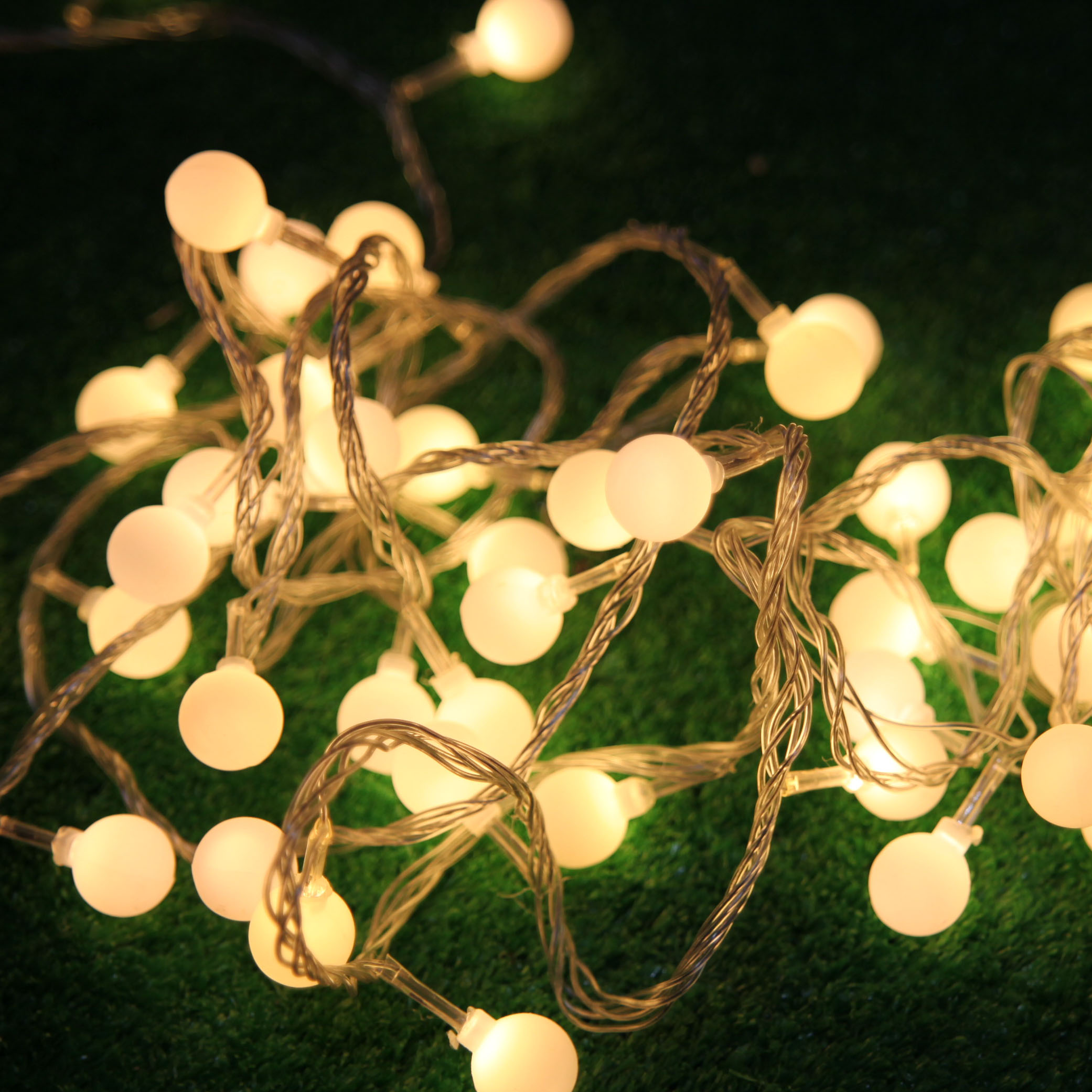 string lights for indoor plants