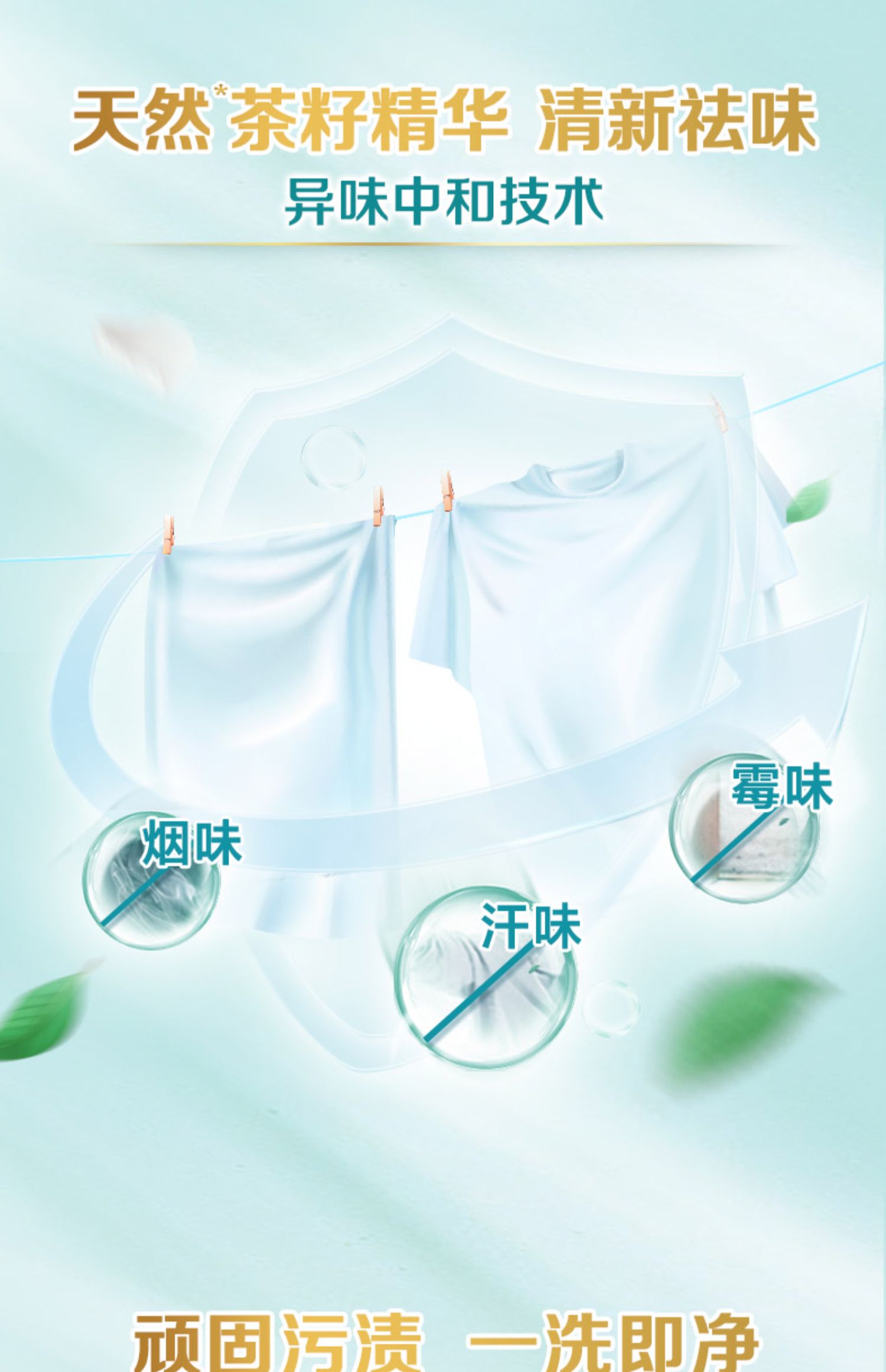 立白除菌除螨茶籽洗衣液10斤9