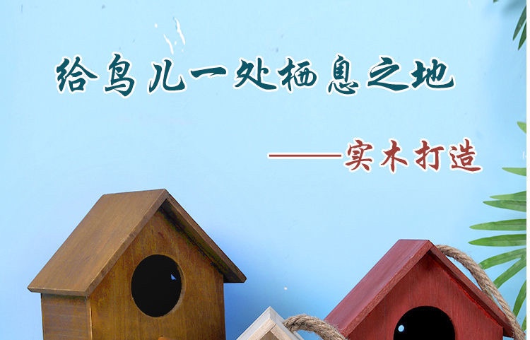 새집