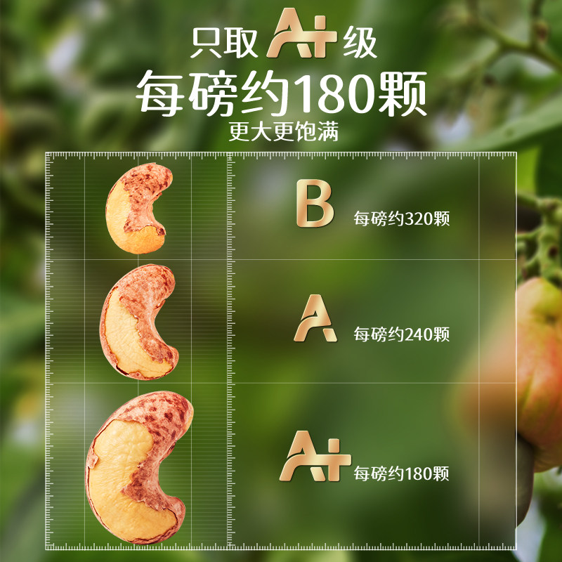 [Recommended by the Host] Three Squirrels Large-Sized Purple-Skinned Cashews 500g × 2 Cans, Nutritious and Healthy Nuts