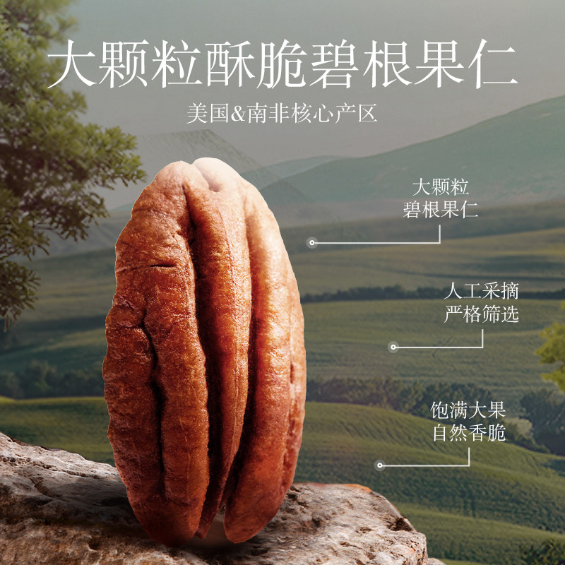 [Recommended by the Host] Three Squirrels Pecan Nuts 500g Box Large Kernels Rich Flavor Snack Healthy and Leisurely