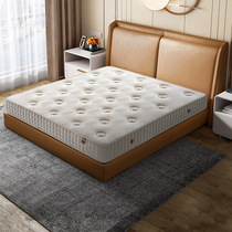 Tiantan Natural Coconut Palm Ridge mattress hard mat jute brown mat Simmons spring mattress 1 8m economical