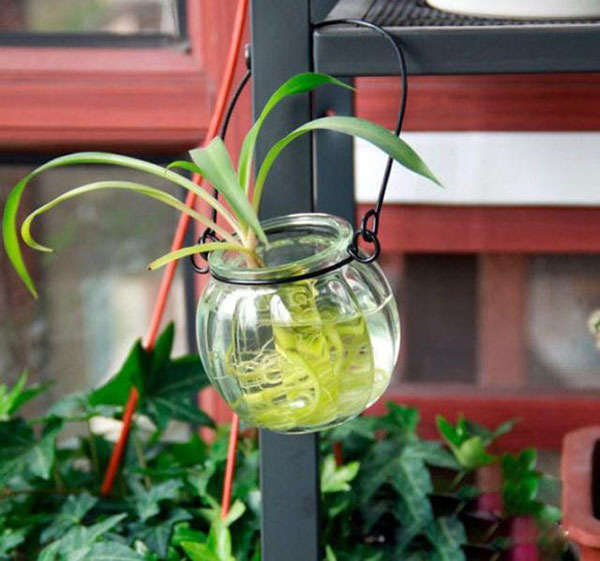 Spike mini treo bình nhỏ chai treo thủy tinh đơn giản Chai treo bằng dây có móc dây thủy canh - Vase / Bồn hoa & Kệ chậu nhựa trắng