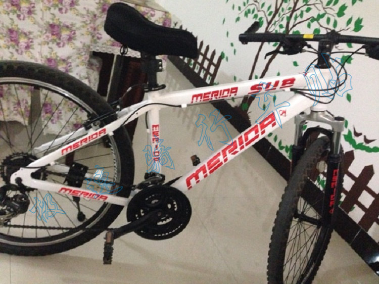 Décoration pour vélo - Ref 2282121 Image 6