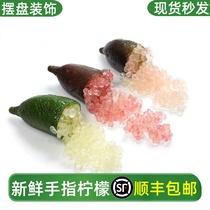 Finger lemon fresh Australian variety finger orange caviar thumb lemon fresh fruit decoration Western food plate decoration