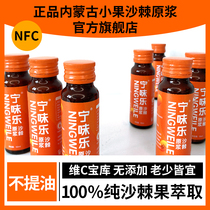 Ningweile Sea Buckthorn Puree Official Flagship Store Small Fruit Freshly Squeezed Sea Buckthorn Juice Contains Fruit Oil and No Added Sugar