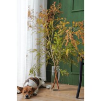 Flower Autumn color gradient color absorption dyeing fragrant pine lasagna Golden household flowers water breeding flower arrangement National Shunfeng Express Express