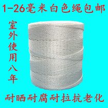 White nylon rope construction rope rope greenhouse sling rope binding rope thick rope climbing rope polyethylene rope