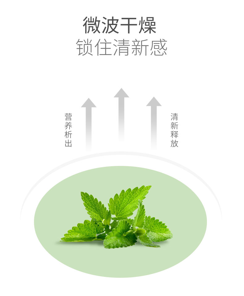 虎标薄荷颗粒干清凉叶茶120g