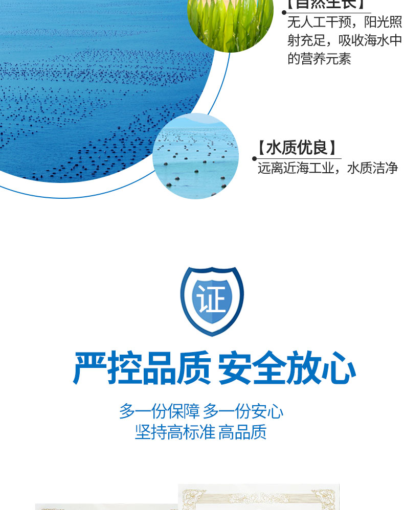 海芝宝 新鲜盐渍海带头 5斤 图8
