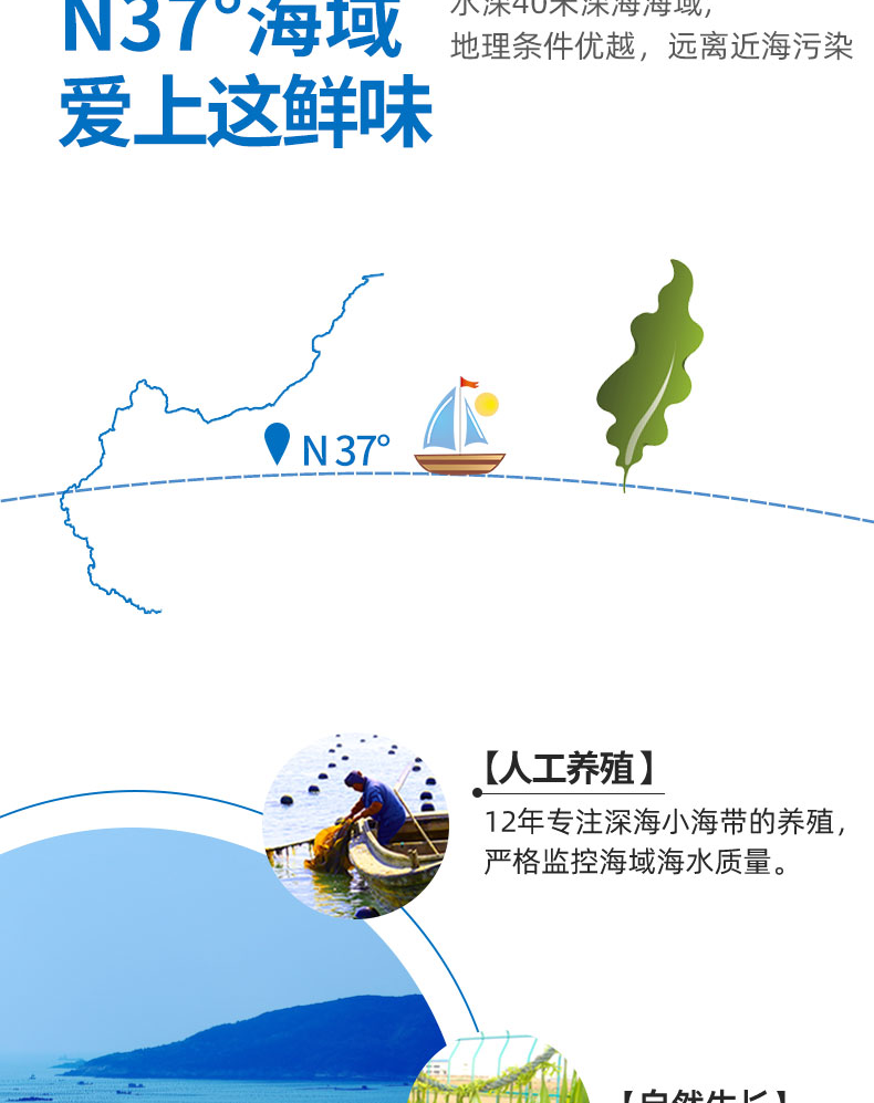海芝宝 新鲜盐渍海带头 5斤 图7