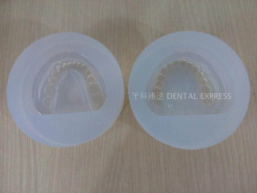National standard full-mouth perineum false tooth model tooth model standard with dental jaw silicone clitoris
