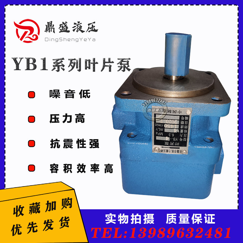 Hydraulic gear oil pumps YB1-100 vane pumps YB1-2 5 4 6 10 16 20 25 32 63 80 80 -Taobao