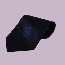 Wholesale new security accessories security tie security clothing tie unit work tie to send tie clip