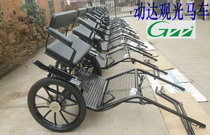 Leisure sightseeing carriage tourist carriage 2-wheel carriage