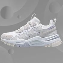 Li Ning casual shoes women's shoes 2020 new ladies fashion retro classic low-top sneakers AGCQ384