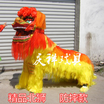 North Lion Dragon lion Dragon lantern South Lion Lion Dance Wake up Lion Luminous dragon luminous lion