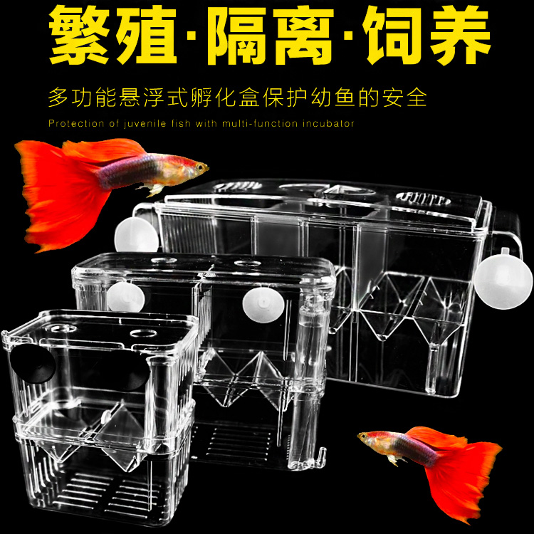 Fish tank isolation box Peacock fish hatchbox Tropical Fish Small Fish Juvenile Fish Breeding Box great number of spawning house independent