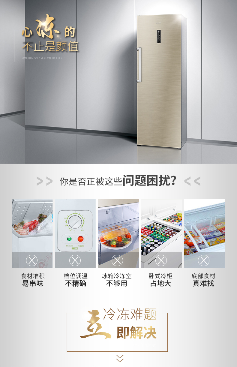 Ronshen / 容 声 BD-252WY Máy làm lạnh đông lạnh làm lạnh bằng không khí lạnh - Tủ đông tủ đông nắp kính