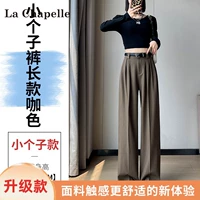 Коричневый малыш (качественная версия) [рекомендуемый рост ниже 157 см]