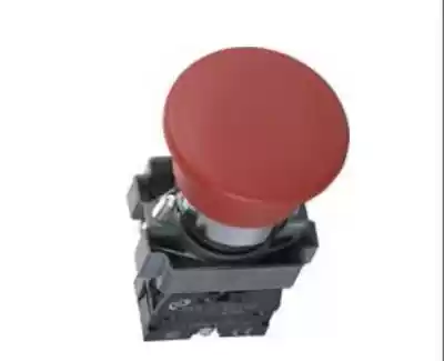 Jiangsu two subjects mushroom SKB2-BC42 SKB-2 BE102 -2 BE101