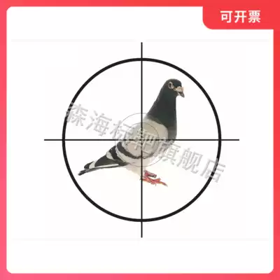 Target D3 hunting target paper EVA target poster teapot target paper shooting target paper competition target paper practice target paper bomb