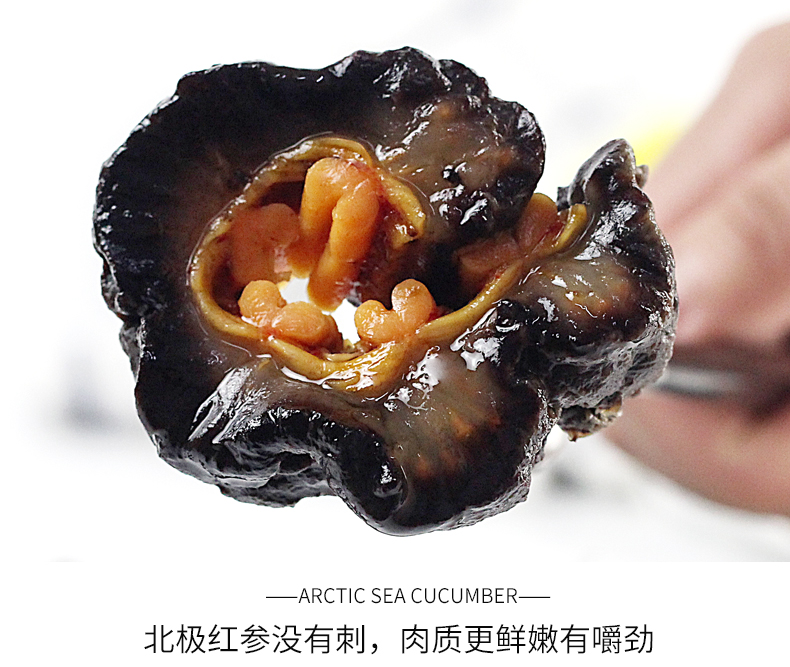参福元 进口野生冰岛北极红参 500g 3.5倍营养价值 图11