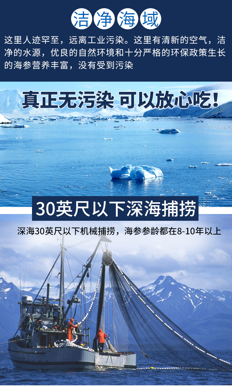 参福元 进口野生冰岛北极红参 500g 3.5倍营养价值 图6