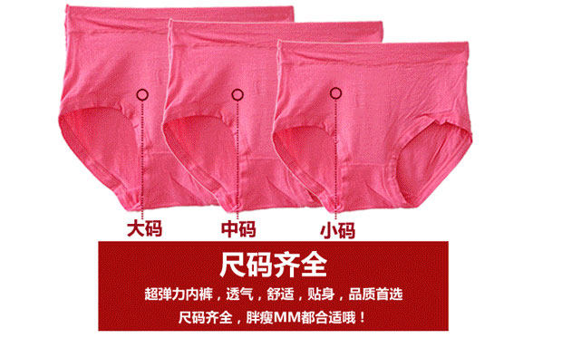 Slip Moyen-âge simple en La fibre de bambou - Ref 641458 Image 22