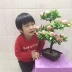 Mô phỏng Trái cây Nhựa Hoa giả Cây may mắn Shou Peach Buddha Flower Peach Peach Fruit Fruit Fake Fake Tree Orange - Hoa nhân tạo / Cây / Trái cây cây oliu giả Hoa nhân tạo / Cây / Trái cây