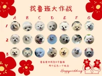 Little Red Flower - Найдите PET 30x40 см односторонняя односторонняя доска KT Плоская доставка