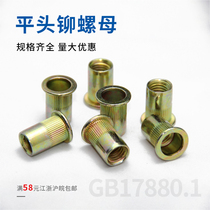 Pull rivet nut flat head column rivet nut pull cap color zinc pull rivet nut M3 M4 M5 M6 M8 M10 M12