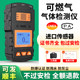 Portable Combustible Gas Detector, Handheld Gas Alarm, Methane Detection Alarm, Methane Detector