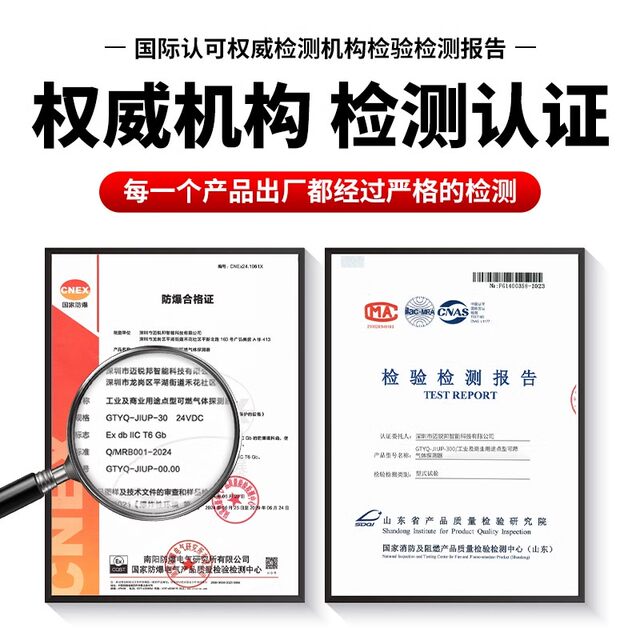 Combustible Gas Detection Alarm Industrial Hydrogen Carbon Monoxide Hydrogen Sulfide Oxygen Leak Concentration Detector