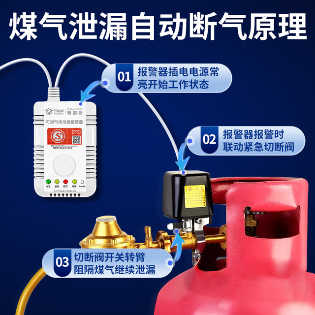 Natural Gas Alarm Household Gas Leak Automatic Shut-Off Valve Kitchen Combustible Gas Leak Electromagnetic Valve