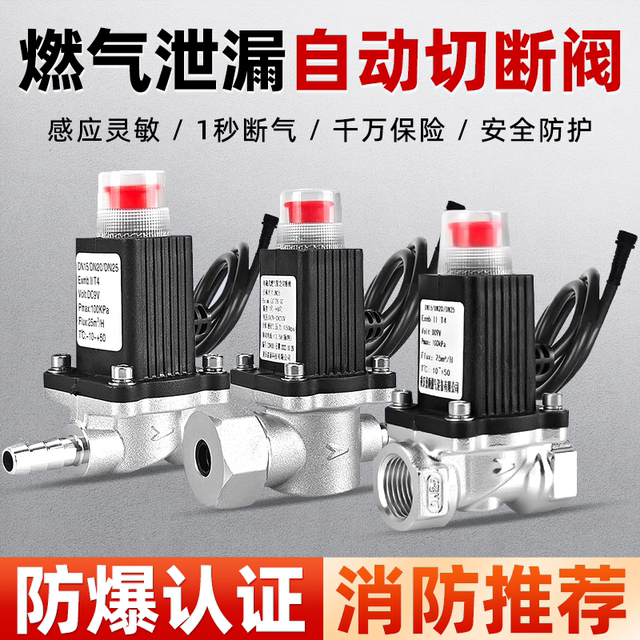 Natural Gas Automatic Shut-Off Valve Solenoid Valve Electromagnetic Emergency Shut-Off Valve Natural Gas Safety Self-Closing Valve Gas Shut-Off Valve