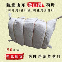 2021 The whole lotus leaf production area is directly supplied to the dry lotus leaf lotus leaf rice called flower chicken special cargo dry lotus leaf 50 kg 1 package