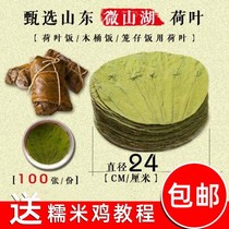 2021 Weishan Lake dry lotus leaf customized round 24cm lotus leaf rice sticky rice barrel rice 100 pieces
