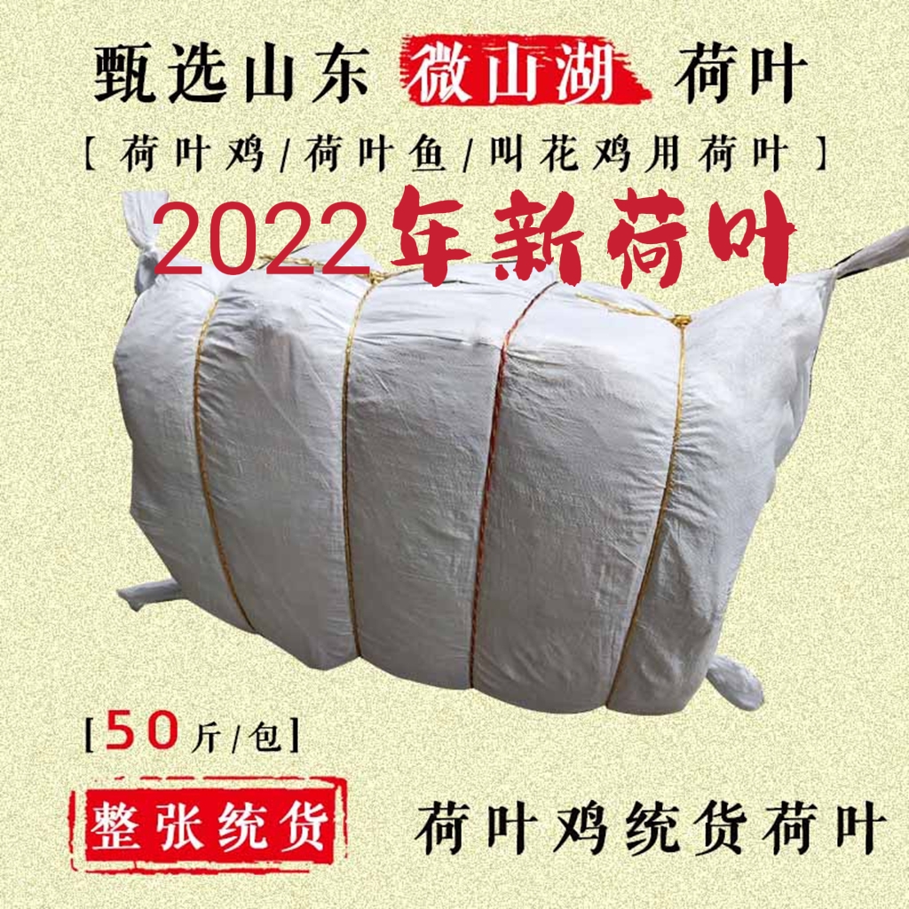 2022 - The whole sheet of the lotus leaf is made of dry lotus leaf for dry lotus leaf for the flower chicken