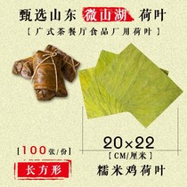 Weishan Lake fresh lotus leaf tea rectangular sliced dried lotus leaf wrapped glutinous rice chicken rice steamed rice 22x20CM 100 sheets