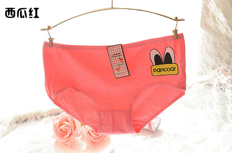 Slip jeunesse doux en coton - Ref 651919 Image 14