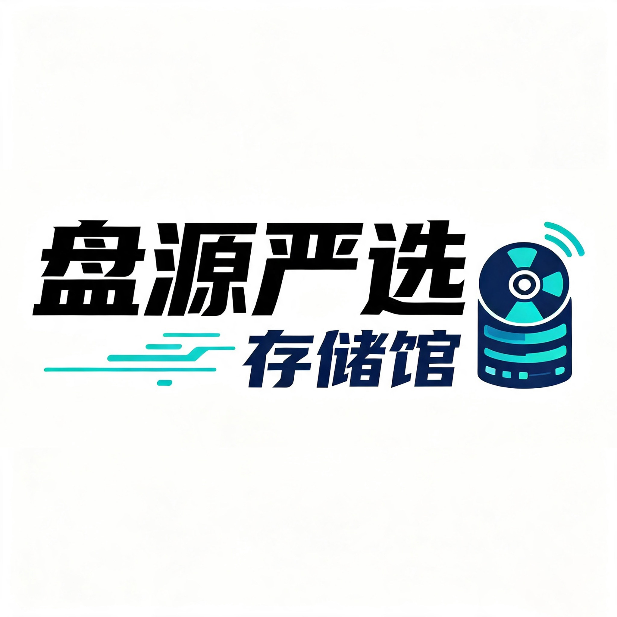 盘源严选存储馆