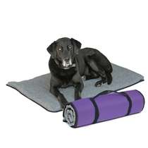 United States FitPAWS Fitbed pet dog cat rehabilitation mattress rehabilitation orthopedic mattress waterproof